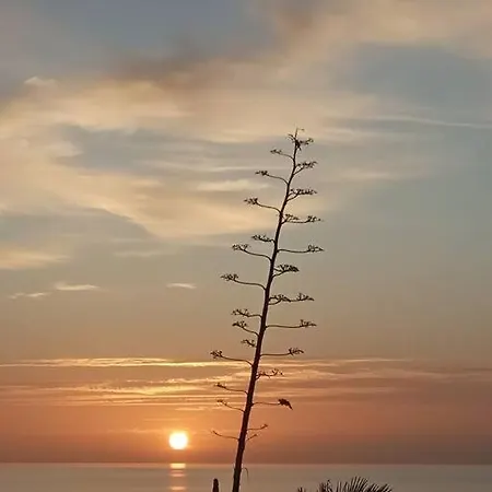 Apartamento - Coastal Comfort With Outdoor Lounge - Wifi