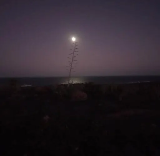 - Coastal Comfort With Outdoor Lounge - Wifi