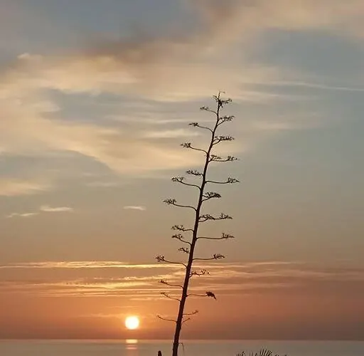 Apartmán - Coastal Comfort With Outdoor Lounge - Wifi